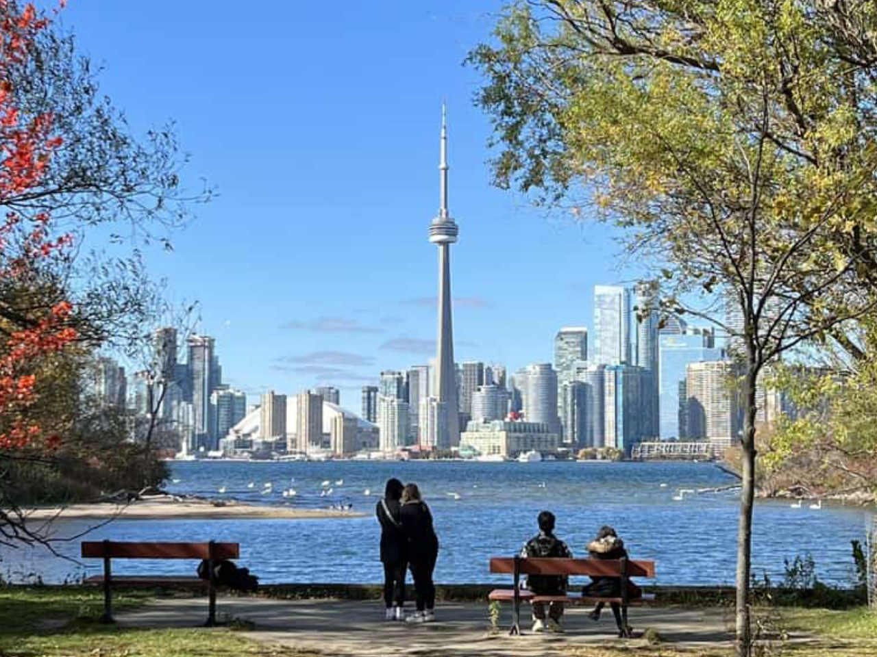 Toronto Island